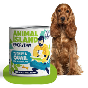 Wet dog food turkey quail Everyday 800g Animal Island