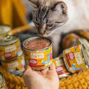 Wet food for cats, mix of flavors 6x200g Animal Island