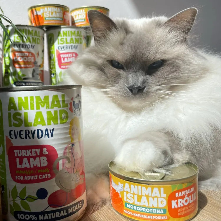 Wet cat food turkey lamb Everyday 6x400g Animal Island