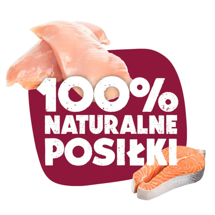 Mokra karma dla Kota Animal Island kurczak łosoś 12 x 200g