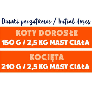 Mokra karma dla Kota królik monoproteina 12x100g Animal Island