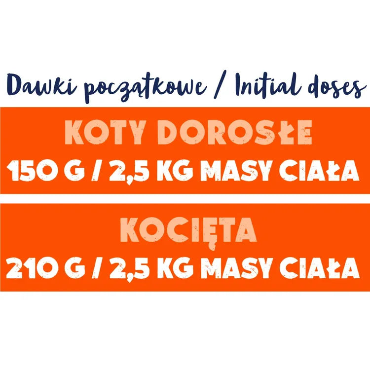 Mokra karma dla Kota królik monoproteina 12x100g Animal Island