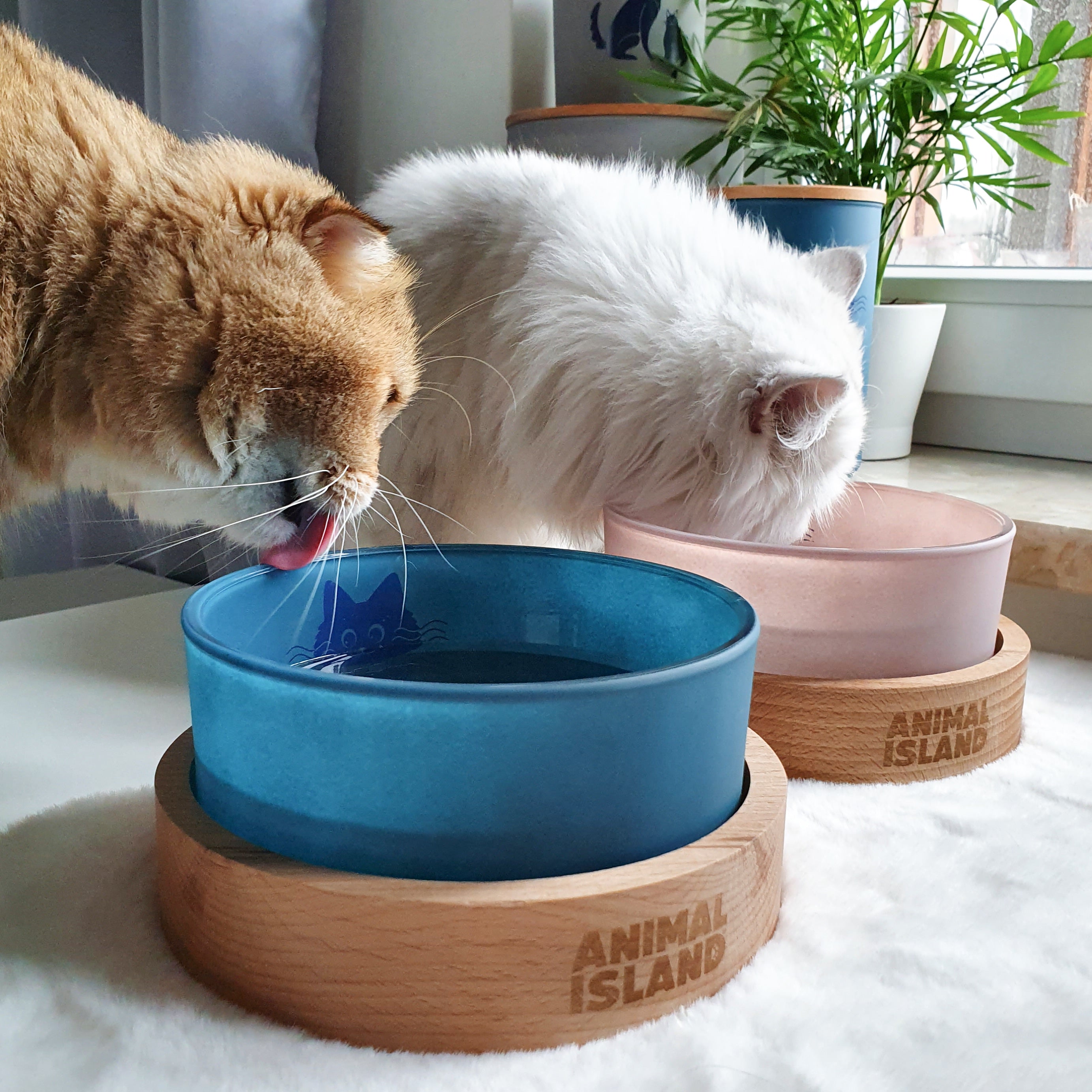 Cat bowl, size S 900ml, Cashmire Pink, Animal Island