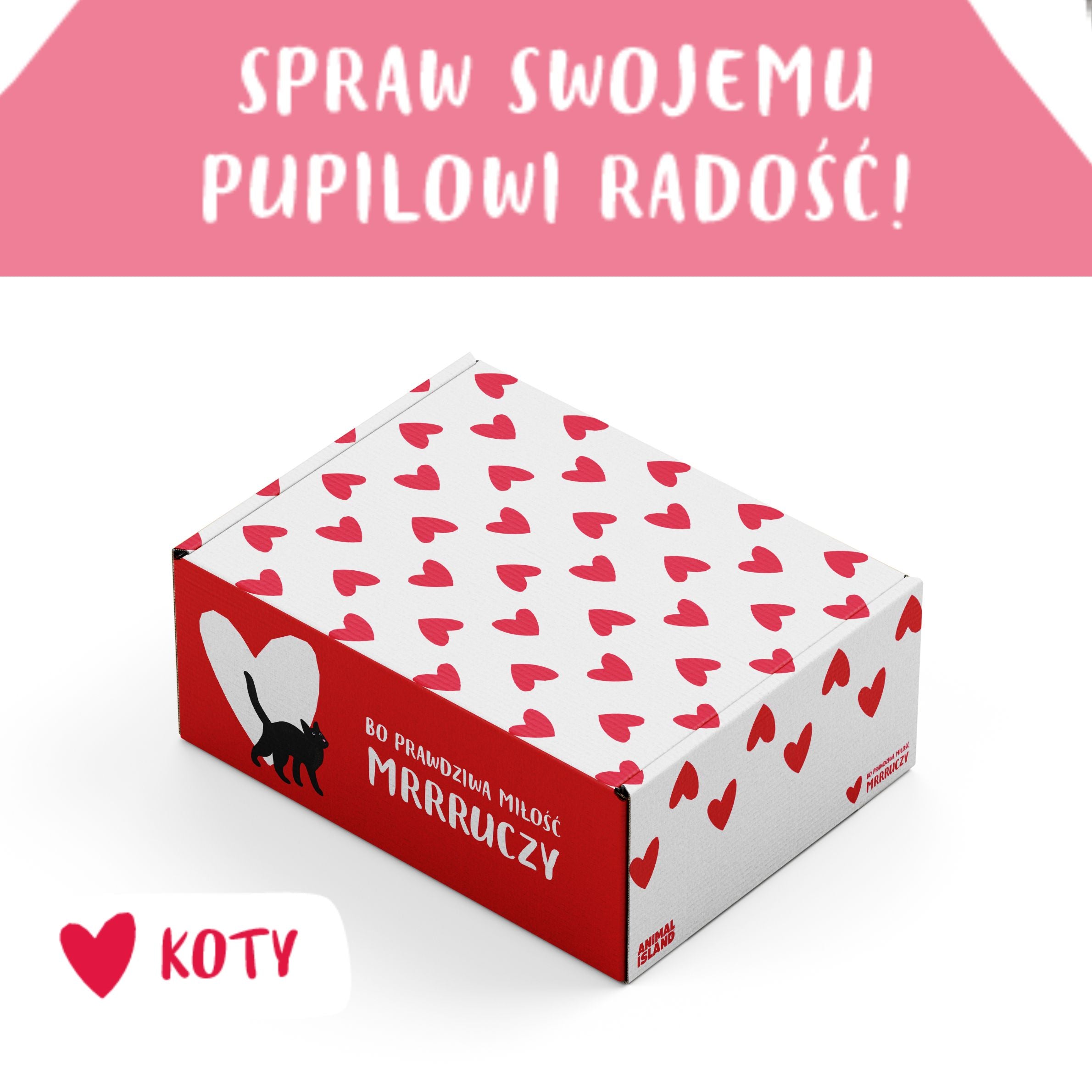 Zestaw LOVE Box 2 dla kota - saszetki pasztet 2x (12szt indyk / 12szt wołowina, 48 szt.)