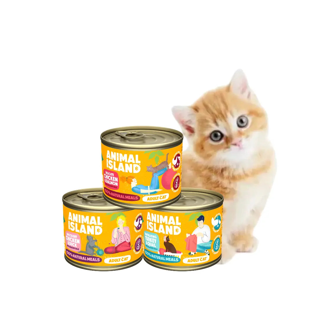 Wet food for cats, mix of flavors, 3x200g Animal Island