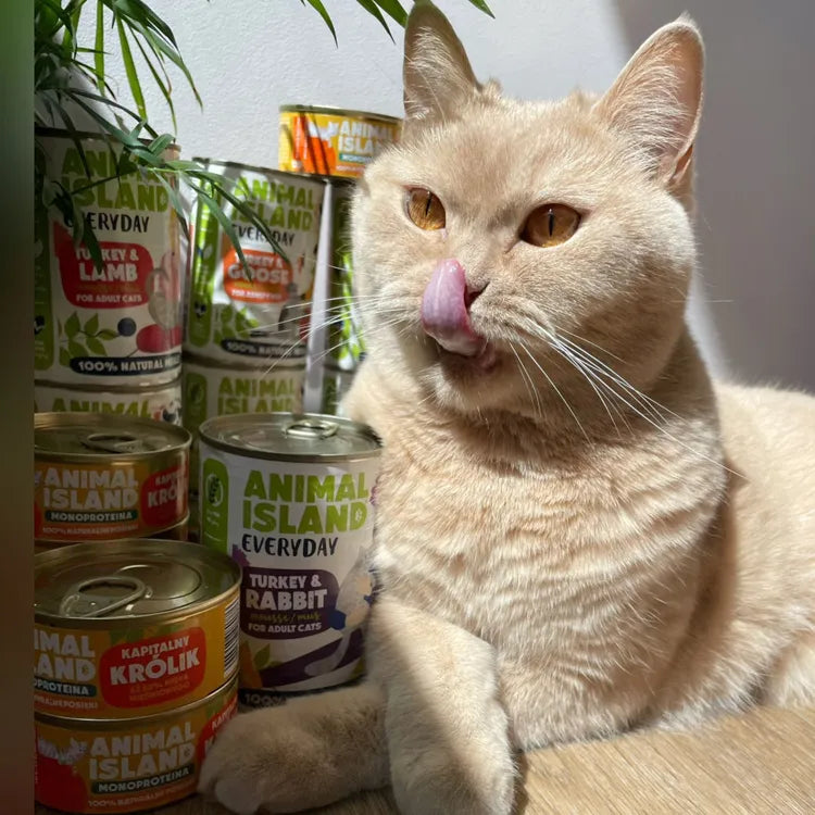 Wet food for cats, mix of 3 flavors Everyday 6x400 g Animal Island