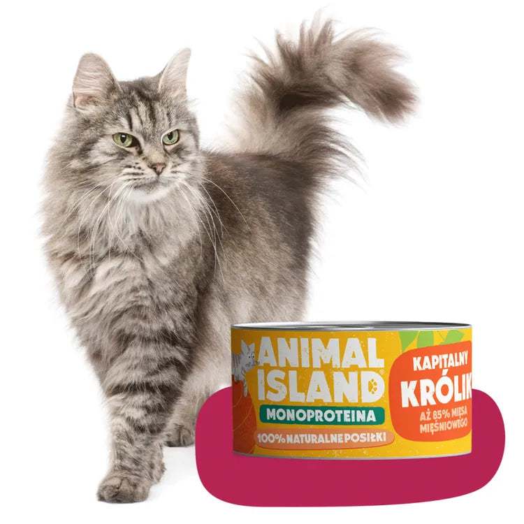 Mokra karma dla Kota królik monoproteina 100g Animal Island