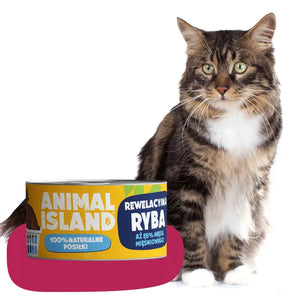 Wet cat food fish monoprotein 12x100g Animal Island