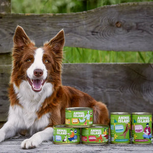 Wet dog food deer with potatoes 410g Animal Island