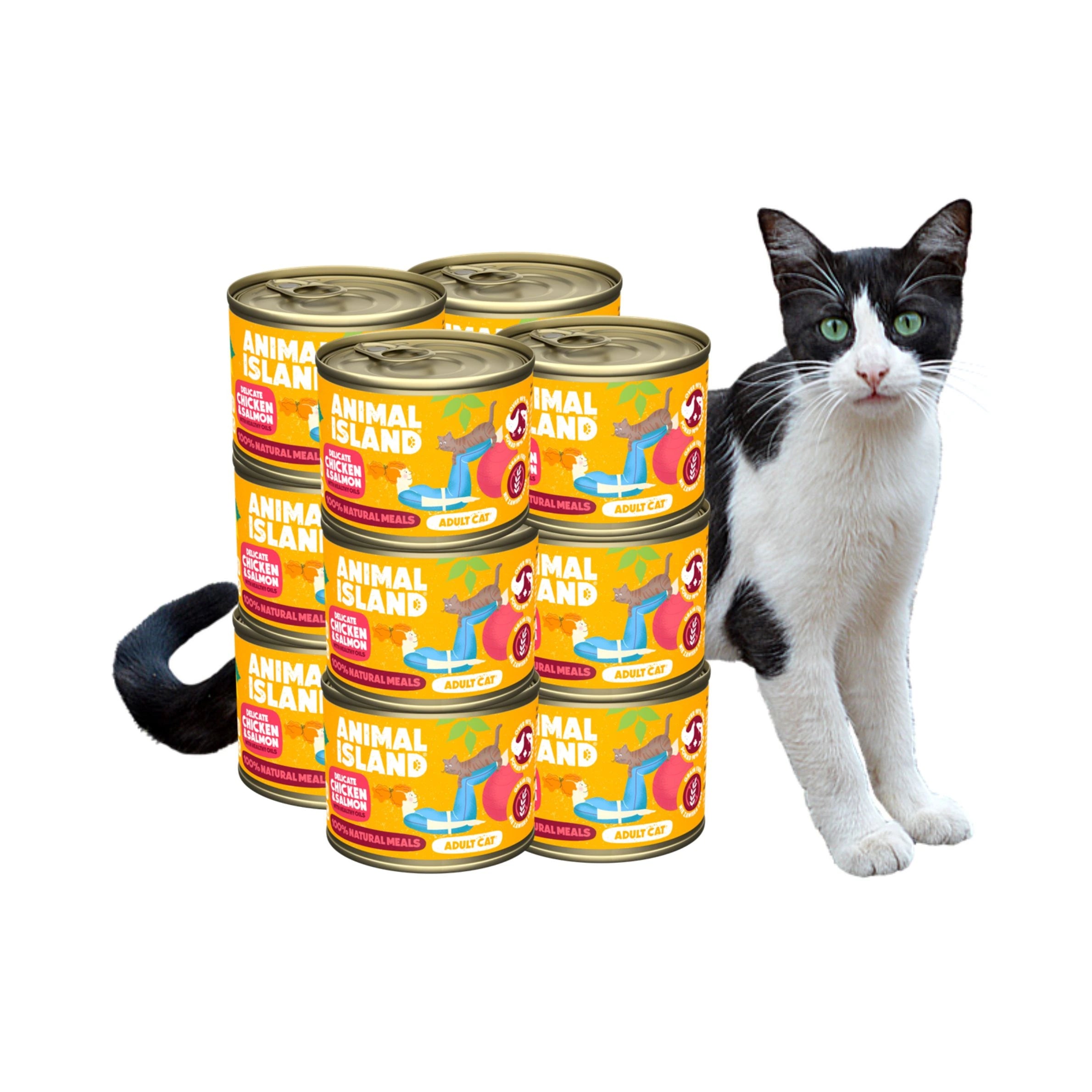 Animal Island wet cat food chicken salmon 12 x 200g